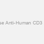 Mouse Anti-Human CD3 mAb